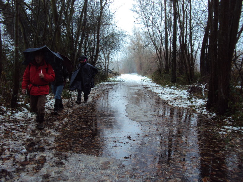 nivelles4951entre nivelles et arquennes.jpg